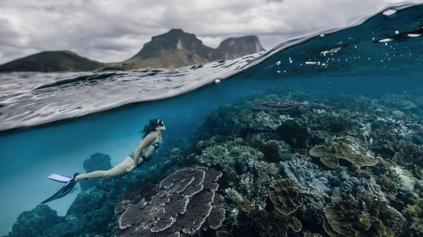 Melissa Findley   Diver at Lord Howe Island, Australia   reframed by Unknown Artist