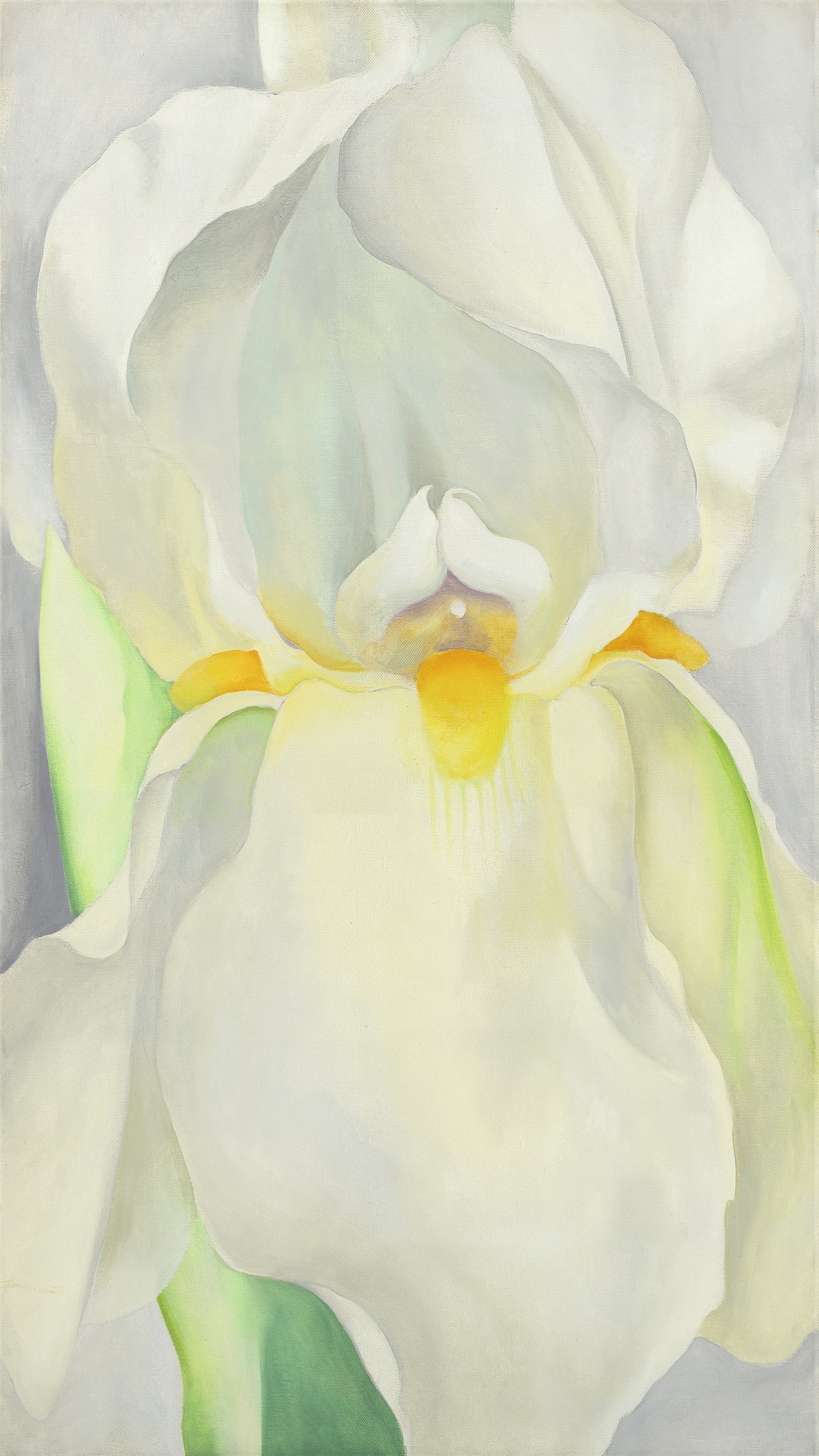 O Keeffe   White Iris No 7   reframed by Unknown Artist