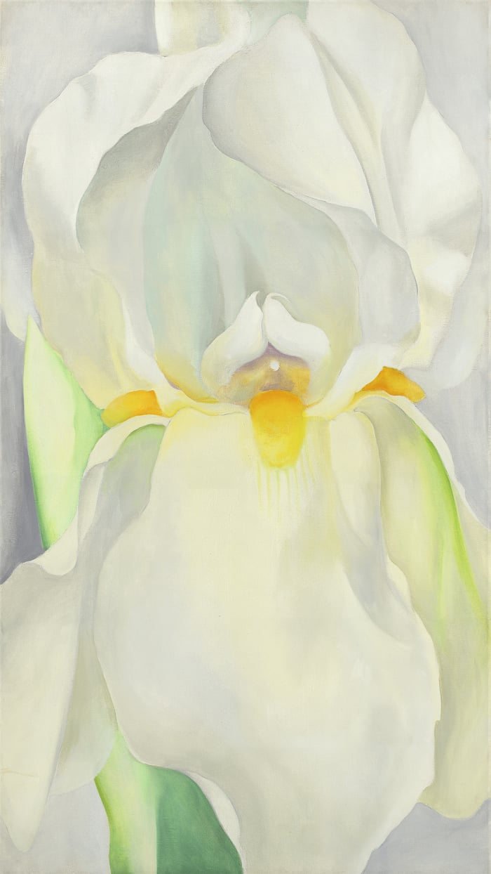 O Keeffe   White Iris No 7   reframed