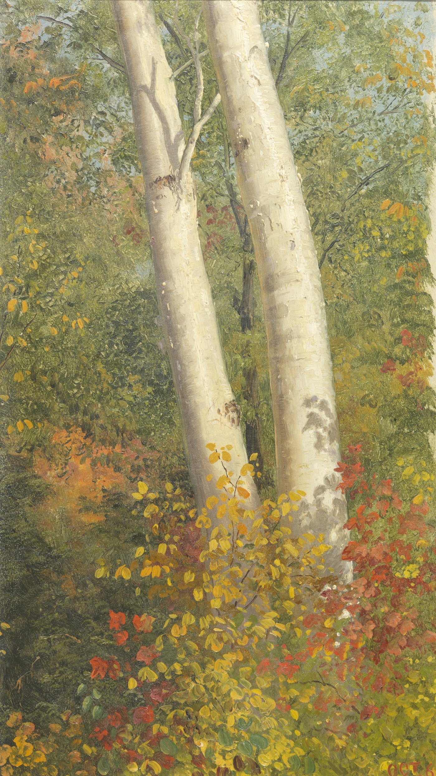 Frederic Edwin Church   Birch Trees in Autumn   portrait   reframed by Unknown Artist